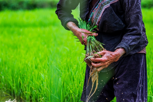 [Bao gồm 100 cụm từ] Các cụm từ tiếng Nhật hàng ngày sử dụng các từ thường dùng