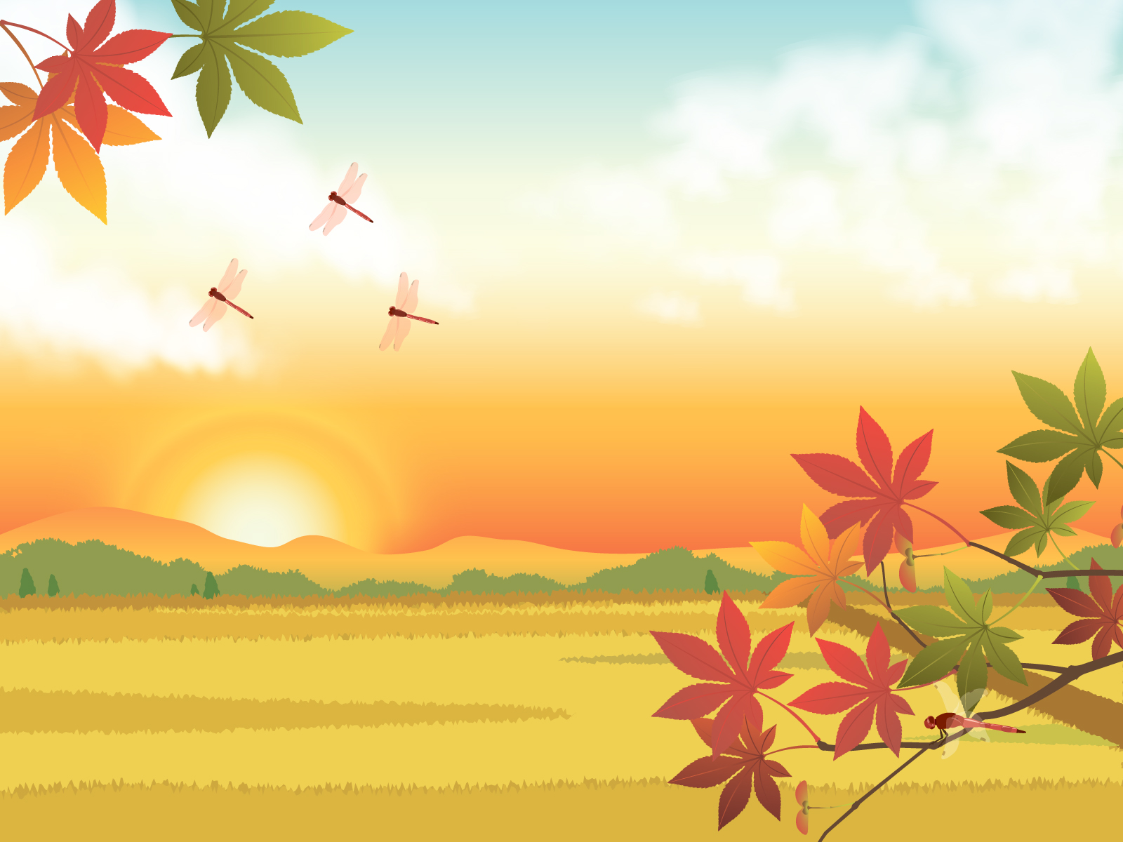 Getting Around Japan: Essential Phrases for Travelers